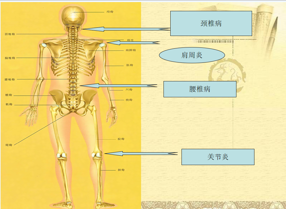 微信图片_20200308115304.png